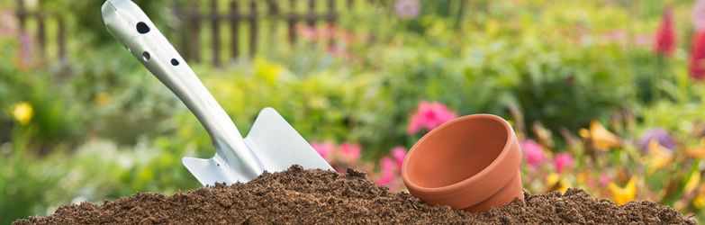 Compost pour le jardin