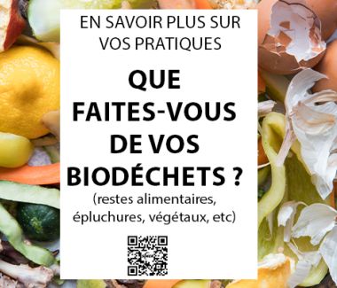 Enquête : Que faites-vous de vos biodéchets ?