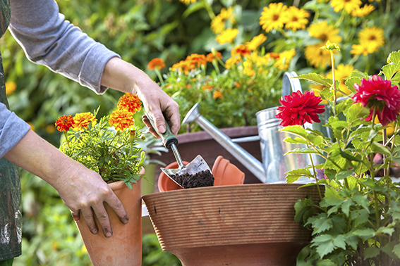 Compost pour le jardin  SIMER - Syndicat interdépartemental mixte pour  l'équipement rural